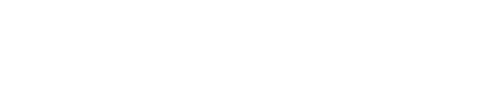 Visma Amili Oy logo